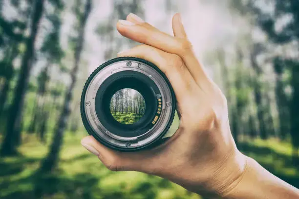 Equipo diverso colaborando