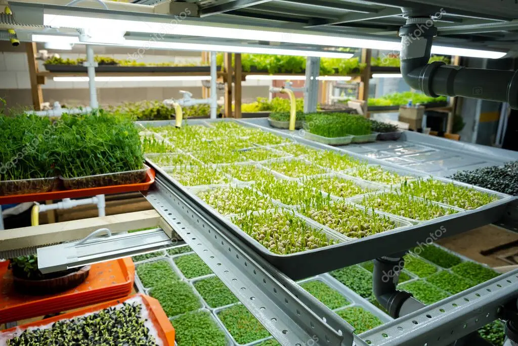 Productores agropecuarios trabajando en prácticas regenerativas